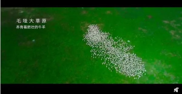 丁真和检察官拍了支公益宣传片,这支宣传片体现了哪些内容?