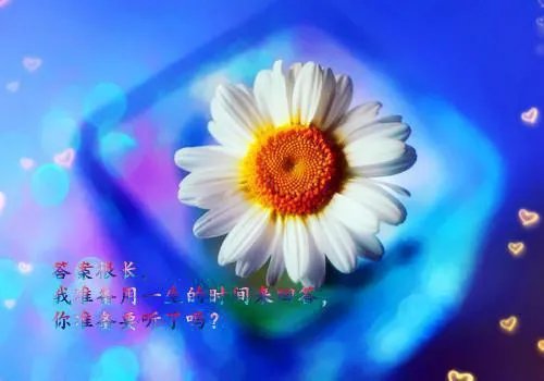 霸道鬼夫要压我白夜女主角薛婉婉小说无删减阅读