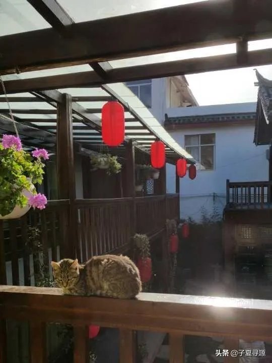 住民宿好还是酒店好?