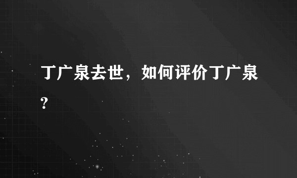 丁广泉去世，如何评价丁广泉？
