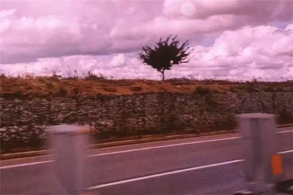 2020抖音网红歌曲排行榜：音乐魔性洗脑，旋律朗朗上口