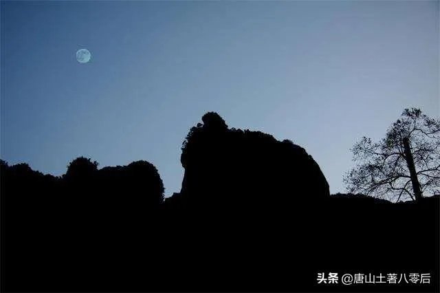 近期打算来一次温州自驾游，去哪里比较合适？