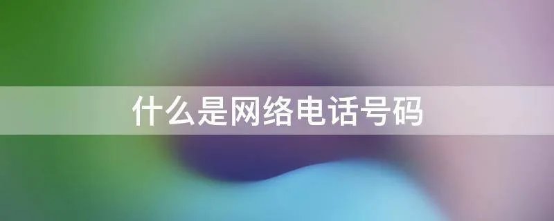 什么是网络电话号码