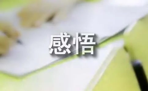 程序人生的感悟