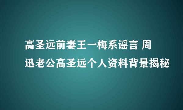高圣远前妻王一梅系谣言 周迅老公高圣远个人资料背景揭秘