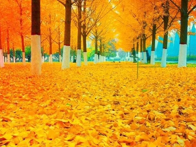 宝鸡一大学生单身21年终脱单，室友拉横幅游校一圈来庆祝，这事你怎么看？