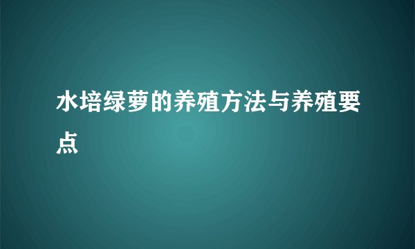 水培绿萝的养殖方法与养殖要点