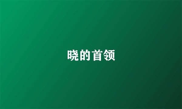 晓的首领