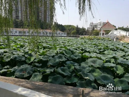 武汉海滨城度假村旅游攻略