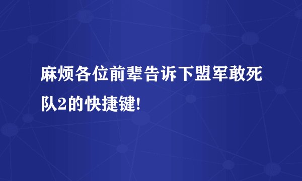 麻烦各位前辈告诉下盟军敢死队2的快捷键!