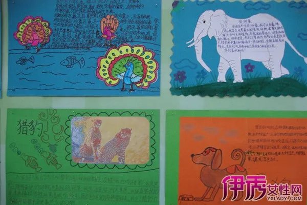 动物名片设计大赛图片