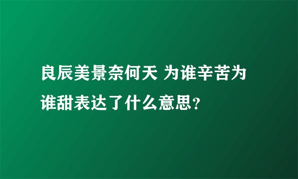 良辰美景奈何天 为谁辛苦为谁甜表达了什么意思？