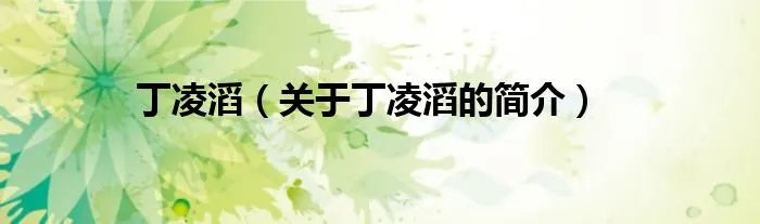 丁凌滔（关于丁凌滔的简介）