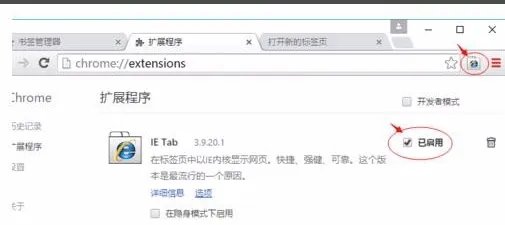谷歌浏览器(Google Chrome)