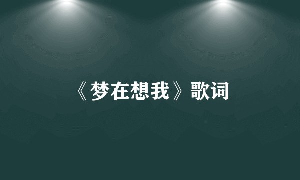 《梦在想我》歌词