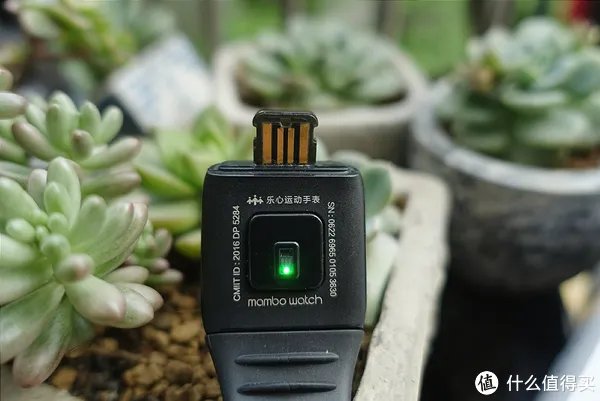 乐心智能手环mambo2怎么样