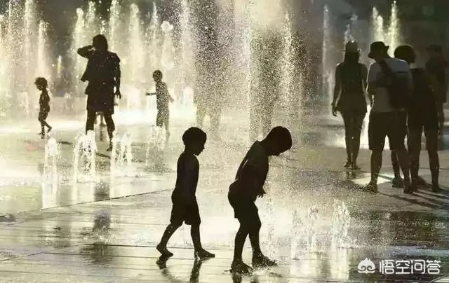 近来北极圈罕见32℃高温，高温成因是什么？北极熊受此影响会走向灭绝吗？