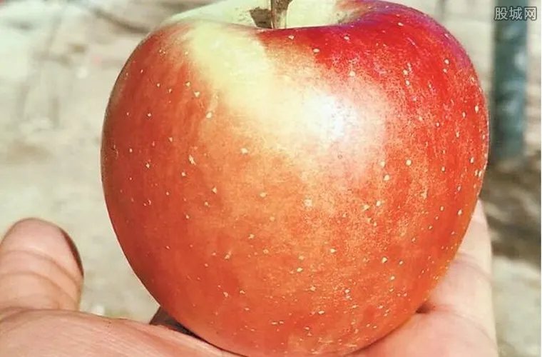 携带免费苹果被罚 谁料免费苹果竟引来500美元罚款