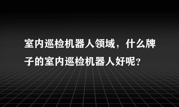 室内巡检机器人领域,什么牌子的室内巡检机器人好呢?