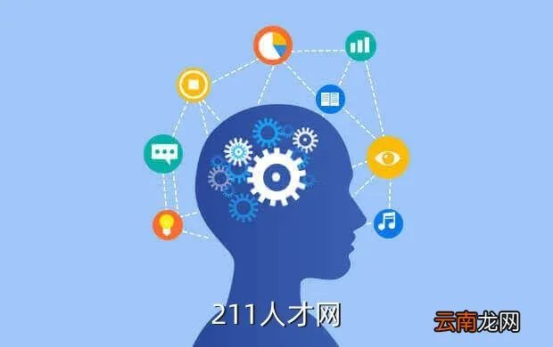 泸县人才网，211人才网