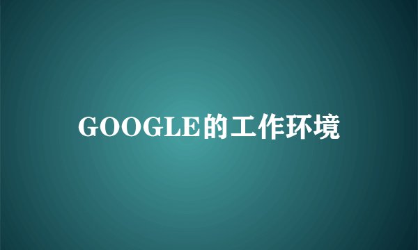 GOOGLE的工作环境