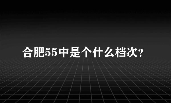 合肥55中是个什么档次？