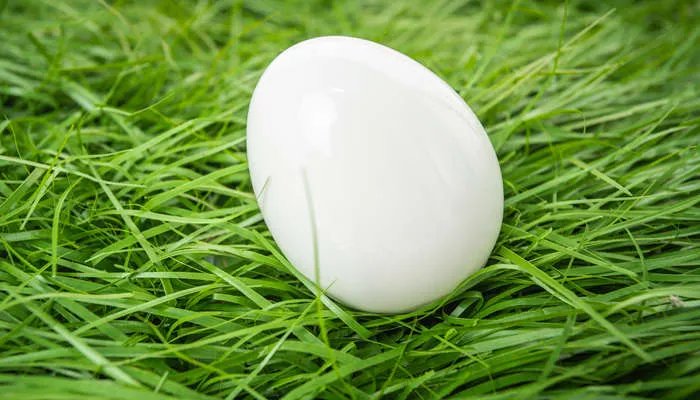 绿色寓意是啥 绿色显皮肤白还是黑