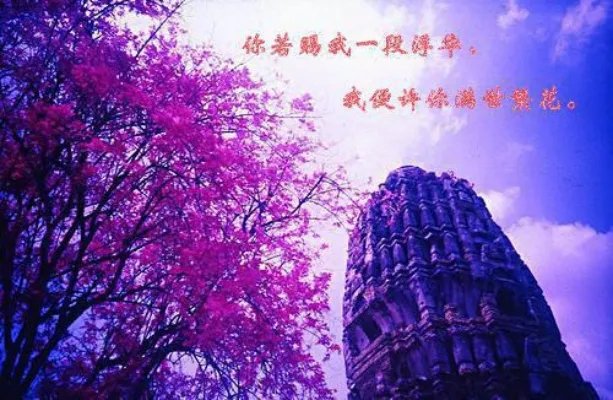 电视台苏路顾塬乾小说(总裁文)苏路顾塬乾完整版阅读