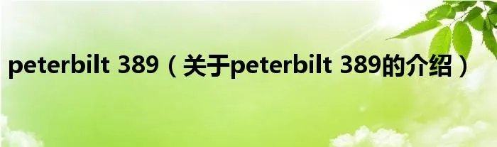peterbilt 389（关于peterbilt 389的介绍）