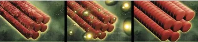 排酸跑：酸都被排到哪里去了呢