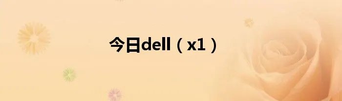 今日dell(x1)