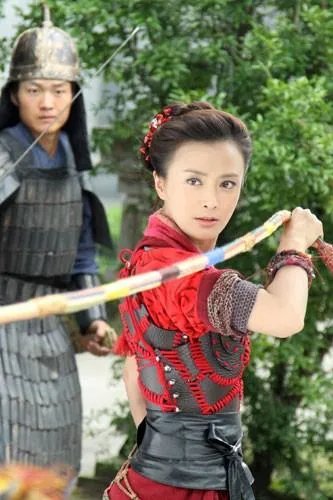 新樊梨花的介绍