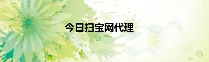 今日扫宝网代理