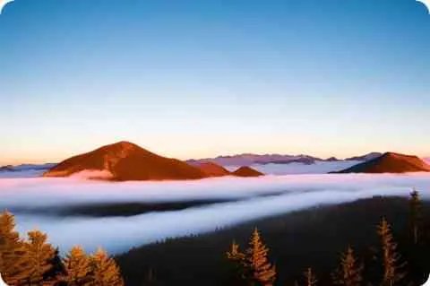 初音未来的男朋友是谁