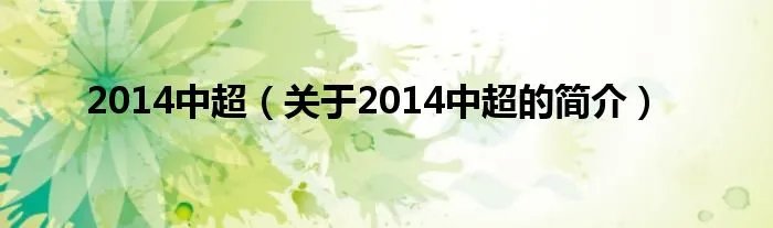 2014中超（关于2014中超的简介）