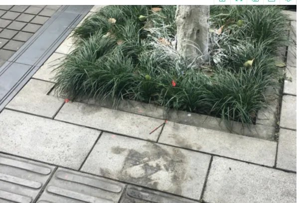 成都一奥迪凌晨撞人群是怎么回事？