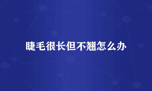 睫毛很长但不翘怎么办