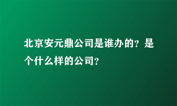 北京安元鼎公司是谁办的？是个什么样的公司？