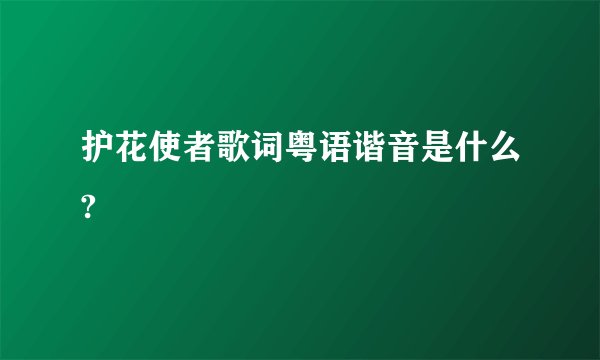 护花使者歌词粤语谐音是什么?