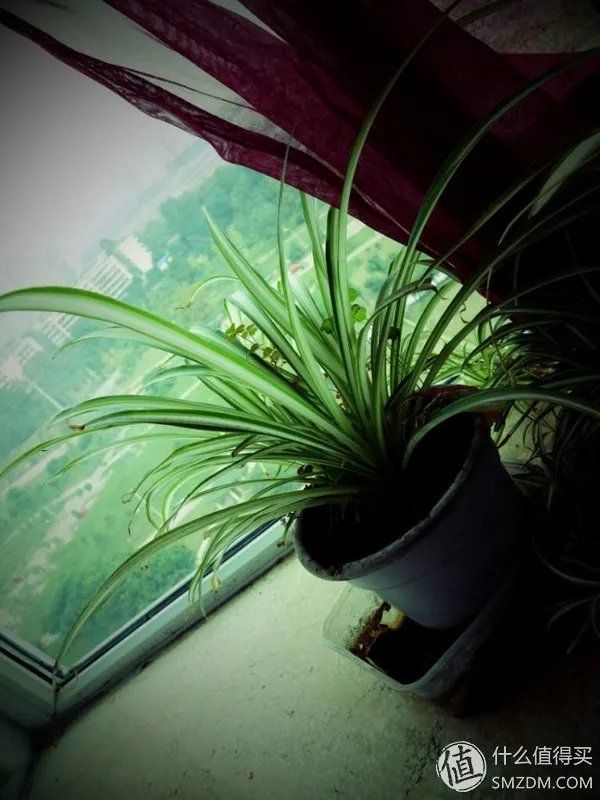 SONY 索尼 DSC-QX100 镜头式数码相机，极其有爱的新鲜玩意儿