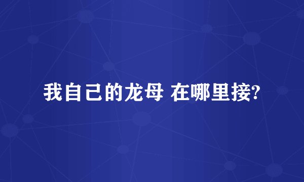 我自己的龙母 在哪里接?