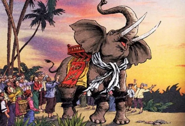 最后一头战象(沈石溪)全文