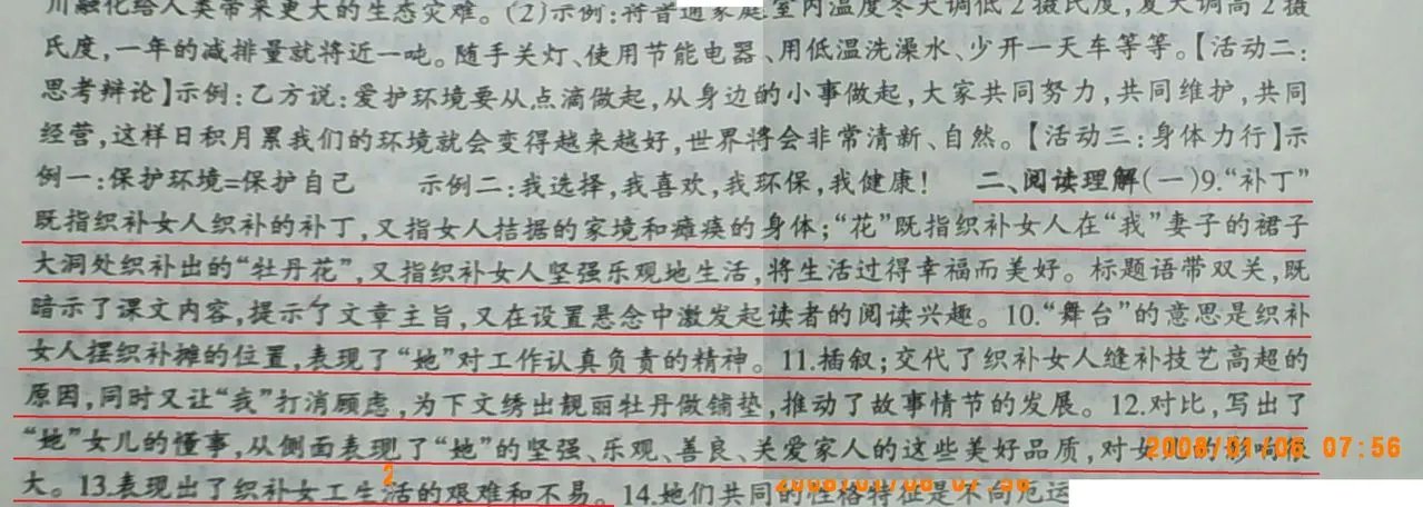 补丁也开花阅读答案