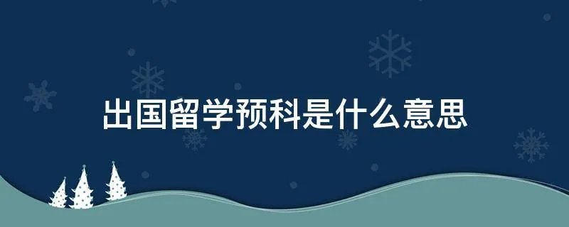 出国留学预科是什么意思