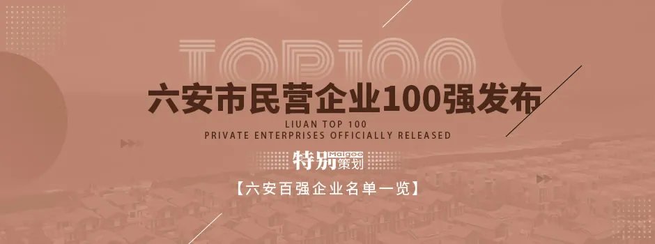 2020年六安市民营企业百强榜发布 2020六安市民营企业行业排序榜单一览