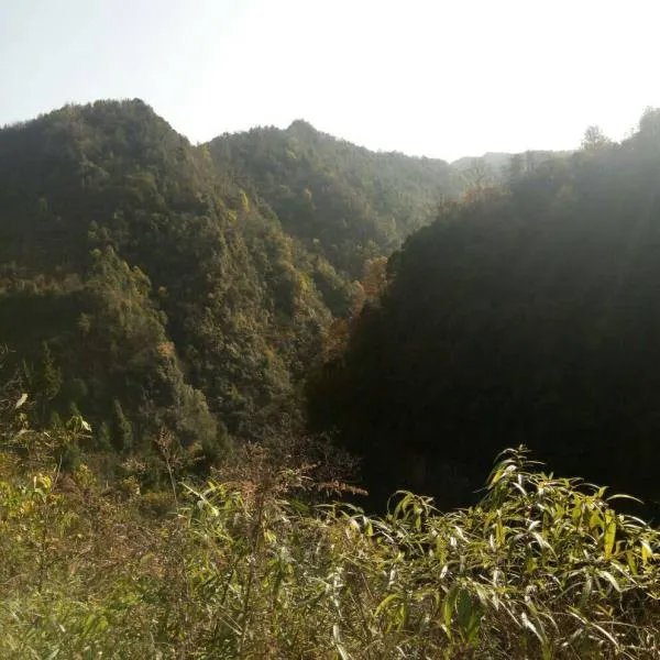 我被一个叫黄卓梅冒充是我女朋友，在微信骗了我十几万，这骗子是罗定人，有人认识吗？