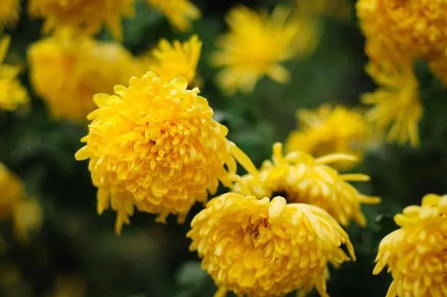 微信直播代扫墓,你能接受吗?