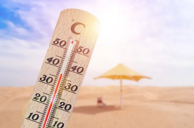 2020年三伏天时间表