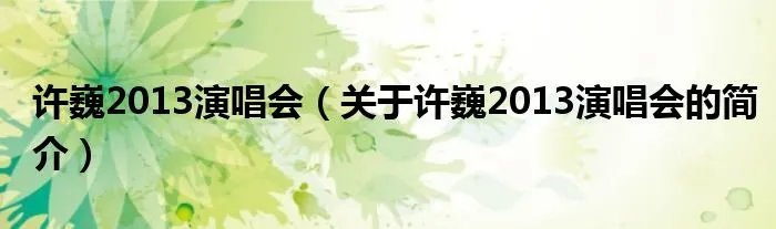 许巍2013演唱会（关于许巍2013演唱会的简介）