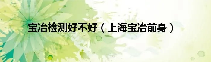 宝冶检测好不好（上海宝冶前身）
